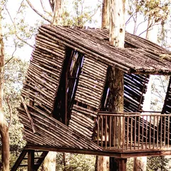I found this unique bamboo treehouse tucked away in the woods near Nandi Hills. The rustic design and the way it's built into the trees make it a fascinating subject that blends architecture with nature.