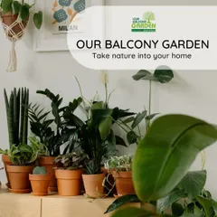 Our motto is simple: Take nature into your home. A collection of indoor plants in classic terracotta pots can instantly purify the air and bring a sense of calm to any room.