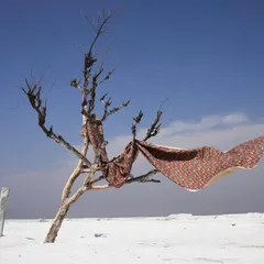 A patterned textile caught by the wind on a lone tree in a stark, white salt desert. The image creates a powerful contrast between the man-made object and the raw, natural environment.