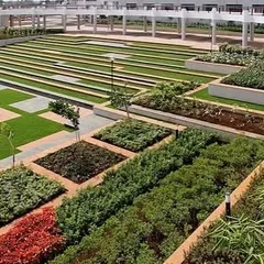 This is a podium garden I developed, featuring a modern, geometric layout with grass, stone pavers, and multi-level planters. It shows my capability in executing complex, large-scale designs for commercial and residential buildings.