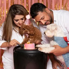 A birthday is a family affair. Here, the pet parents join in to help their toy poodle cut the cake, creating a heartwarming memory of the celebration they shared together.