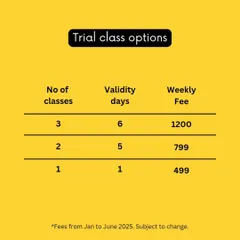 Not ready to commit to a full month? I offer trial class options so you can see if my teaching style is the right fit for you.