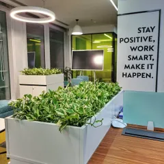 Variegated Pothos, with their beautiful green and white leaves, fill these long planters, creating a positive and vibrant atmosphere next to workstations. They are excellent natural air purifiers, perfect for a busy office.