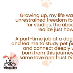 This is a snippet of my story. A part-time job at a dog hostel led me to study pet psychology and ignited my passion for connecting deeply with animals. Waggology was born from this journey.