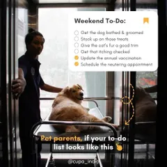 If your weekend to-do list involves getting your dog groomed, updating vaccinations, or scheduling a neutering appointment, we are your one-stop solution. We are a full-service veterinary hospital designed to meet all your pet care needs efficiently.