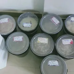 Another view of the packed food for a corporate event for 80 guests. Each container is labeled clearly for easy serving at the venue.