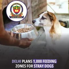 Following a Supreme Court ruling, the Municipal Corporation of Delhi plans to create 1,000 designated feeding zones for stray dogs. This initiative aims to manage public feeding in a structured and hygienic way.