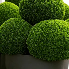 A collection of artificial topiary balls. For clients seeking a zero-maintenance option, we offer realistic artificial plants that provide a consistent, manicured look year-round.