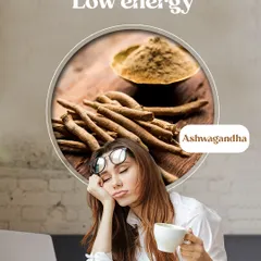 If you're constantly feeling tired and drained, Ashwagandha can help. This powerful adaptogenic herb is known for boosting energy levels, fighting fatigue, and improving overall resilience, making it a perfect support for a busy lifestyle.