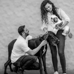 Big meets small. This candid moment captures a couple doting on their pets, a gentle Great Dane and a tiny Shih Tzu, showcasing a lovely family dynamic.