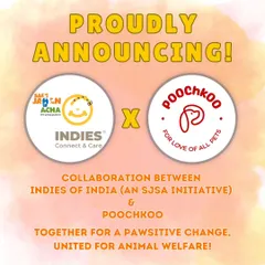 Our partnership with Indies of India (an SJSA Initiative) is official! This collaboration allows us to provide an injured animal van service in Pune, extending our reach to help more animals in need.