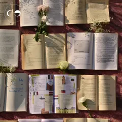 Sunlight streams across the pages of the book wall, highlighting the different stories and illustrations. This artistic shot captures the romantic and nostalgic feeling of the "New Chapter" theme.