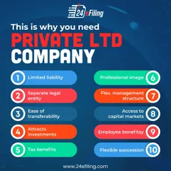 A Private Limited Company is the most popular structure for startups for good reason. This infographic breaks down the top ten advantages, including protecting your personal assets, attracting investors, and building a professional brand image.