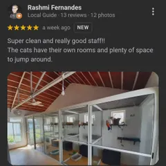 Our cattery is a quiet, dog-free zone with multi-level glass-fronted rooms. This review from a happy cat parent highlights the clean, spacious, and peaceful environment we provide for our feline guests.