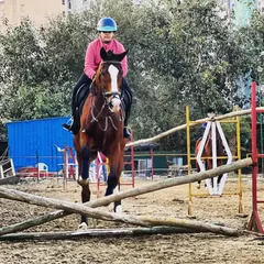 A young rider confidently guides her horse over a cross rail jump. We provide training for aspiring young jumpers to build their skills safely.