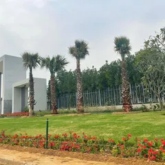 Landscaping for a modern property in Faridabad. I installed a pristine lawn bordered by red flowering plants and planted a row of mature Washingtonia palm trees to complement the building's contemporary architecture.