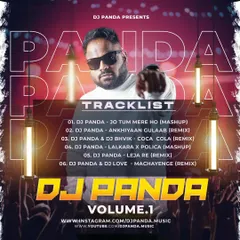 My first official album, DJ PANDA Volume 1. You can see the tracklist here, featuring custom mashups like 'Jo Tum Mere Ho' and collaborations on remixes like 'Coca Cola'.