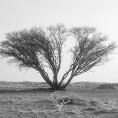 A minimalist and elegant black and white landscape featuring a solitary tree, with the couple's initials beautifully integrated as a custom wedding logo.