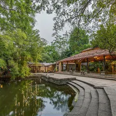 The stone steps of the kalyani lead down to the water's edge, offering a unique setting for ceremonies or a quiet moment of reflection.