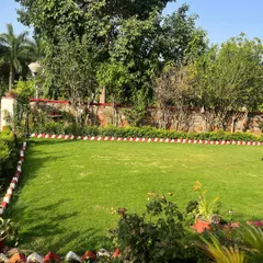 A beautifully maintained lawn from a trip to Rajasthan. Seeing such large-scale green spaces inspires me to maximize the greenery in my own small-space garden.