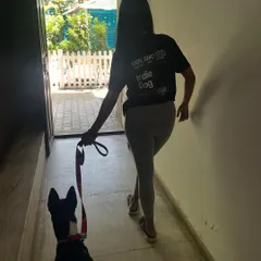 Taking my best friend for a walk, proudly wearing our "Indie Dog" merch. It's more than a t-shirt; it's a statement.
