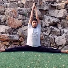 Upavistha Konasana, or the Wide-Angle Seated Forward Bend, provides a deep stretch for the inner thighs and hamstrings. Regular practice of such asanas can have a stabilizing effect on the immune system and help manage stress.