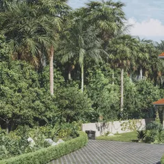 The entrance driveway to the Mediterranean villa in Goa. This rendering focuses on the lush, dense tropical foliage that creates a private and dramatic approach, with the patterned driveway leading the eye towards the property.