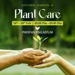 I believe in sharing knowledge and building a community of plant lovers. This poster is from a Kitchen Garden and Plant Care workshop I hosted, where I teach practical skills to help people grow their own food and care for their plants.