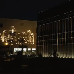 This shot shows the interplay between two different lighting features on the commercial property. The structured, linear lighting on the right contrasts with the artistic, custom light installation on the left wall.
