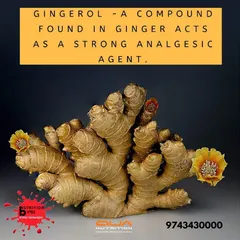 Ginger contains a compound called gingerol, which acts as a strong natural pain reliever (analgesic). I recommend it for managing degenerative disorders like arthritis and for its anti-inflammatory properties.