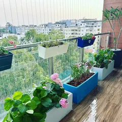 This is how we transform an urban balcony into a vibrant escape. Using a mix of colorful planters and railing boxes, we introduced flowering plants like hydrangeas and vincas, creating a beautiful view and a happy space high above the city.