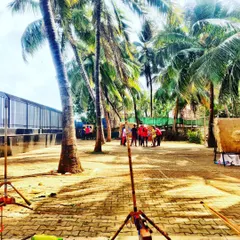 A quiet moment at our Dadar range, set against a backdrop of palm trees. It's a peaceful and beautiful place to practice archery.