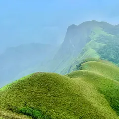 The Western Ghats are not just about waterfalls. Look at these rolling green hills on the Netravathi Peak trek. The feeling of walking above the clouds, with endless shola grasslands around you, is a different kind of magic.