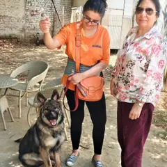 Baby Zara went back home after completing her training course. Her owners did a great job raising her, which made our work easy. We focused on polishing her skills, like reducing jumping and improving leash walking.