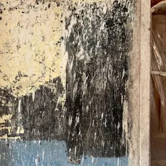 The wall as a canvas of history. The layers of paint, scraped and worn over decades, create an abstract texture that tells the story of the building's life. We often find beauty in these accidental discoveries during the restoration process.