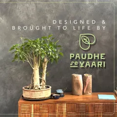 This close-up shows a healthy bonsai I selected and styled for the Haiku project. I pay close attention to the details, from the choice of the plant to the pot and surface it sits on, ensuring every element contributes to the overall aesthetic.