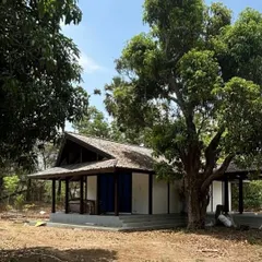 A contemporary pitched-roof home in Alibaug, designed to sit lightly on the land. The structure uses glue-laminated timber and large overhangs to respond to the local climate and blend with the rural setting.