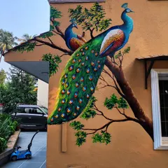 This large-scale peacock mural adorns the exterior of a private residence, showcasing my work on rough, textured surfaces. The vibrant colors and detailed feather work are designed to be durable and weather-resistant, bringing a touch of nature's elegance to the building's facade.
