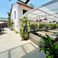 The outdoor seating area of a cafe, where we used a combination of potted plants and built-in concrete planters to define the space. The greenery provides shade and creates a fresh, inviting atmosphere for patrons.