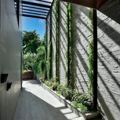 A sunlit corridor in a modern home, where a wall of green creepers brings nature indoors. The play of light and shadow from the overhead pergola creates a dynamic, ever-changing pattern on the textured stone wall.