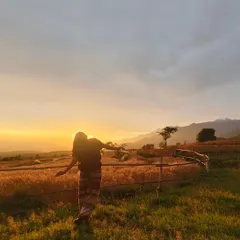Soaking in a golden sunset in Bir, Himachal Pradesh. This serene, natural shot is from my solo travels and captures a feeling of peace and adventure.