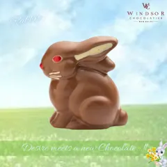 A classic chocolate Easter rabbit, molded in a sitting position with simple, charming details.