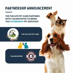 To provide the best medical care, I have partnered with The Fur Life Pet Care. This means you have access to expert veterinary services right here at our center, making healthcare convenient and reliable.