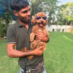 Milo looking cool in his sunglasses, held by one of our dedicated team members. We love to have fun with our furry guests.