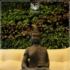 A magnificent vertical garden serves as a backdrop for a serene Buddha statue. This living wall, installed in a Mysore home, infuses the space with a sense of tranquility and boundless natural beauty.