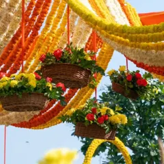 Traditional decor can be incredibly beautiful. For this event, we created a dense canopy of yellow and orange marigold garlands, with hanging floral baskets adding a fresh, festive touch to the celebration.