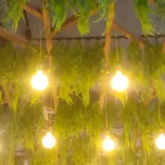 We integrated warm, exposed-bulb lighting into this hanging fern installation. The lights create a beautiful glow that filters through the leaves, making the ceiling a stunning feature both day and night.