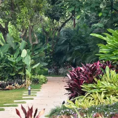 I design garden pathways to be an experience, not just a route. This winding stone path in a Surat garden is lined with layers of tropical foliage, including cordylines and palms, creating a journey of discovery through different textures and colors.