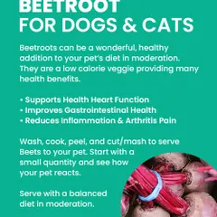 Beetroot can be a wonderful, healthy addition to your pet's diet in moderation. It supports heart health and improves digestion. Just be aware it can turn their poop red, which is harmless!