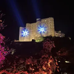 The magnificent Alila Fort Bishangarh lit up at night. The projection mapping on the fort walls adds a modern, magical touch to this historic venue, perfect for a grand wedding reception.